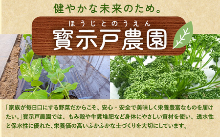 パセリのドレッシング 150g×3本入り《90日以内に出荷予定(土日祝除く)》