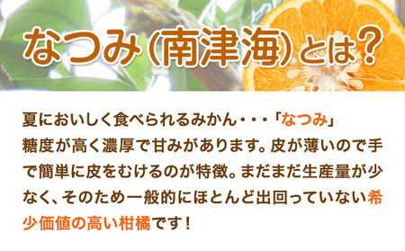 ＜先行予約＞初夏のみかん なつみ 約 5kg 株式会社 魚鶴商店 みかん 蜜柑