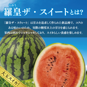 すいか 羅皇 ザ・スイート 2L（1玉入り） 西瓜 高糖度 シャリ感 甘い 夏限定 旬 フルーツ すいか 人気 産地直送 ギフト 茨城県 阿見町【先行予約｜2026年6月中旬より配送】(76-01）