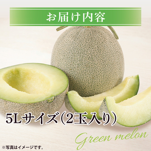 阿見グリーンメロン 5Ｌサイズ (2玉入り)(化粧箱) 青肉 高糖度 高級 甘い 夏限定 旬 フルーツ 果汁たっぷり 人気 産地直送 ギフト 茨城県 阿見町【先行予約｜2026年6月中旬より配送】（76-03）