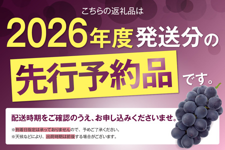 【先行予約】＜2026年発送＞東浦町産 種なし巨峰＆シャインマスカット詰め合わせ　約2kg（5～6房）│ぶどう ブドウ マスカット 葡萄 巨峰 種なし 種無し シャインマスカット 高級 フルーツ 果物 新鮮 農家直送 フレッシュ デザート おやつ 種なし 皮ごと 愛知県 東浦町