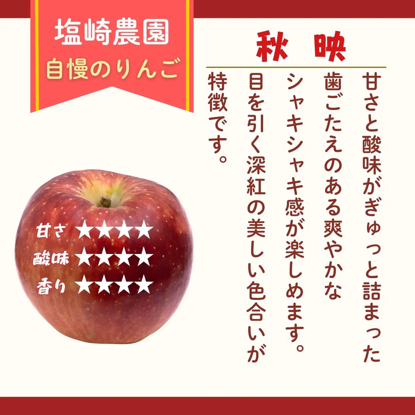 【訳あり】りんご 秋映 約5kg（11～20玉）2026年10月上旬より発送 先行予約 | リンゴ At-018