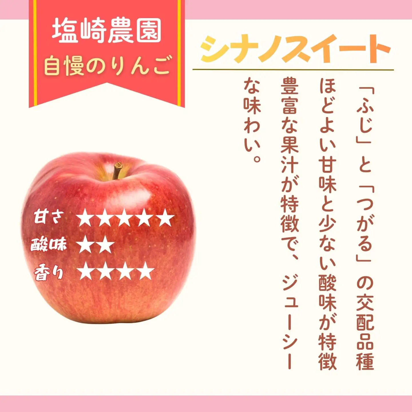 【訳あり】りんご シナノスイート 約3kg（6～14玉）2026年10月中旬より発送 先行予約 | リンゴ At-020