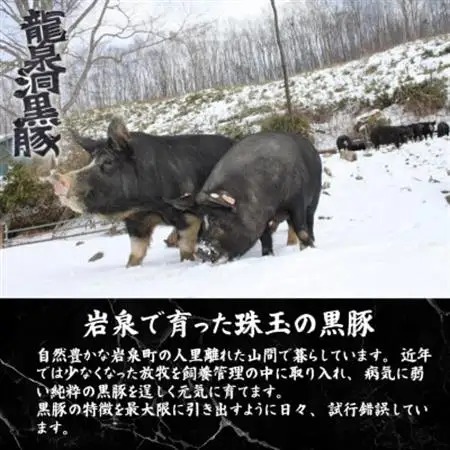 いわいずみ匠の黒豚ハンバーグ　150g×5個【龍泉洞黒豚100%使用】【岩泉町原産の銘柄豚】【配送不可地域：離島】【1619314】