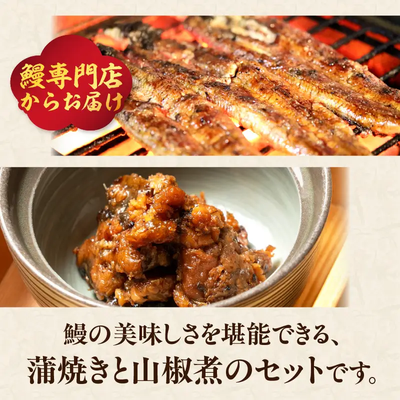 【お中元ギフト】 うなぎ料理入舟 蒲焼3尾＋鰻山椒煮 《7/1～8/9の期間に発送》 E07007-S