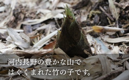 国産 たけのこ 水煮 1.5kg【2026年5月末終了】
