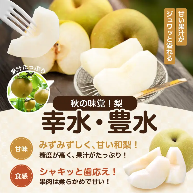 南信州産 幸水 または 豊水 秀品 約5kg 8～16玉 ＜2026年9月上旬～順次発送＞ ＪＡみなみ信州ＤＭセンター飯田市