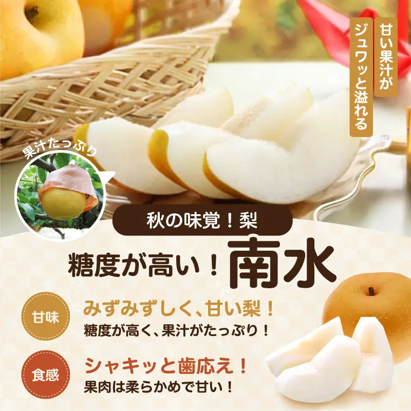 南信州産 南水 梨 秀品 約5kg 8～16玉 ＜2026年9月中旬～順次発送＞ ＪＡみなみ信州ＤＭセンター飯田市