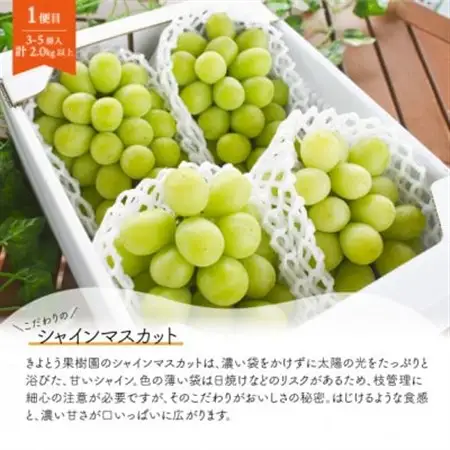 【発送月固定定期便】人気のシャインマスカットと希少品種の梨、フルーツ満足便!(岡山県産)全2回【配送不可地域：離島】【4067489】