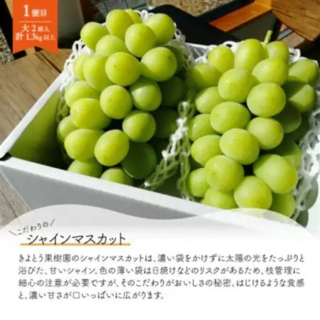 【発送月固定定期便】人気のシャインマスカットと希少品種の梨、フルーツ満足便!(岡山県産)全2回【配送不可地域：離島】【4067496】