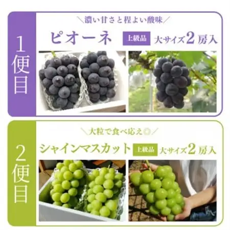 【発送月固定定期便】ピオーネとシャインマスカット 各大2房入 人気ぶどうの定期便(岡山産)全2回【配送不可地域：離島】【4067688】