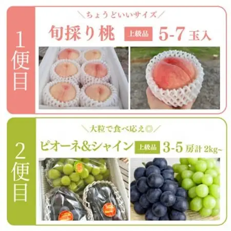 【発送月固定定期便】桃(5-7玉)とピオーネ＆シャインマスカット(3-5房)の定期便(岡山産)全2回【配送不可地域：離島・北海道・沖縄県】【4067689】