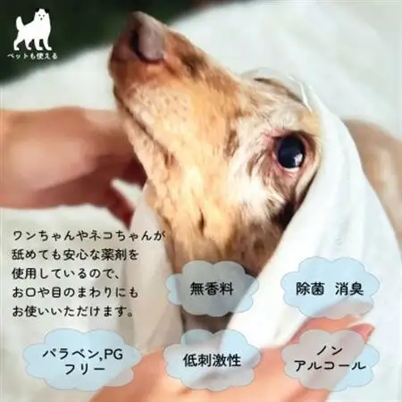 ペット用ウェットシート 個包装紙おしぼり WANPO 50本【1609114】