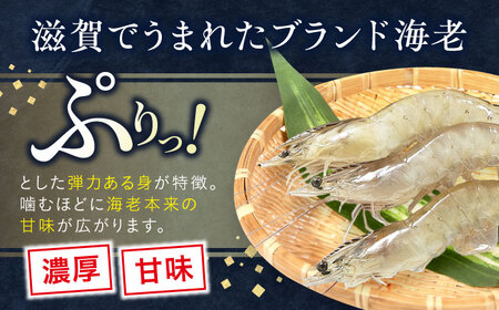 近江海老 600g(Sサイズ)[AQBA009]えび 近江海老 エビ