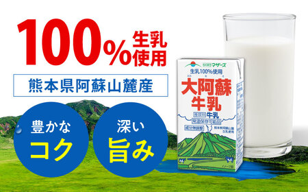 【全12回定期便】大阿蘇牛乳 ロングライフ 250ml 24本（12本入り×2ケース） 6L 牛乳[AYAC029]