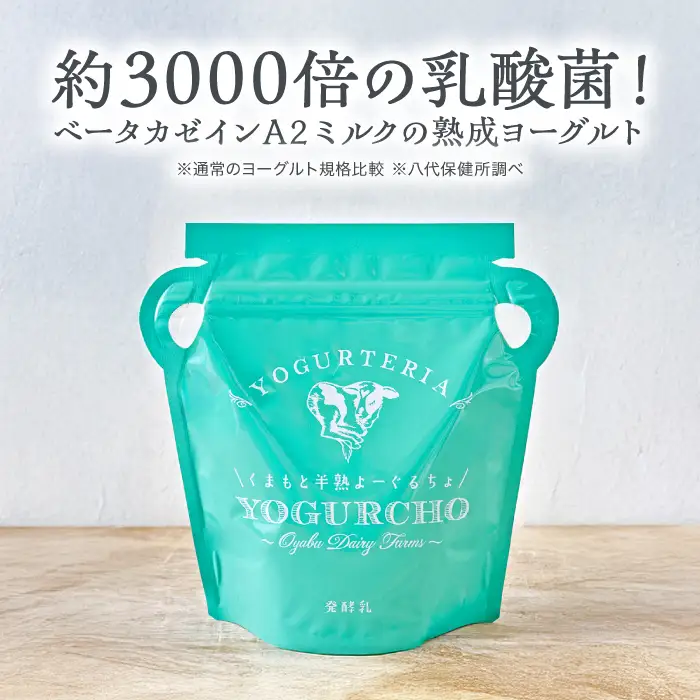 くまもと半熟よーぐるちょ 350g×5個 オオヤブデイリーファーム ヨーグルト 濃厚ヨーグルト AYAE004