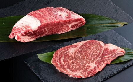 【全3回定期便】熊本産ステーキ用 あか牛 計約4.5kg 2種類 ステーキ [AYCB005]