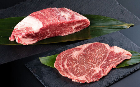 【全3回定期便】熊本あか牛 ヒレステーキ約300g ロースステーキ約400g（計約2.1kg）牛肉[AYCB013]