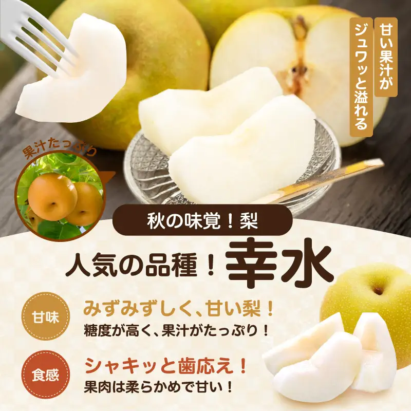 南信州産 幸水 約5kg 秀品 ＜2026年8月下旬～順次発送＞ ＪＡみなみ信州ＤＭセンター飯田市