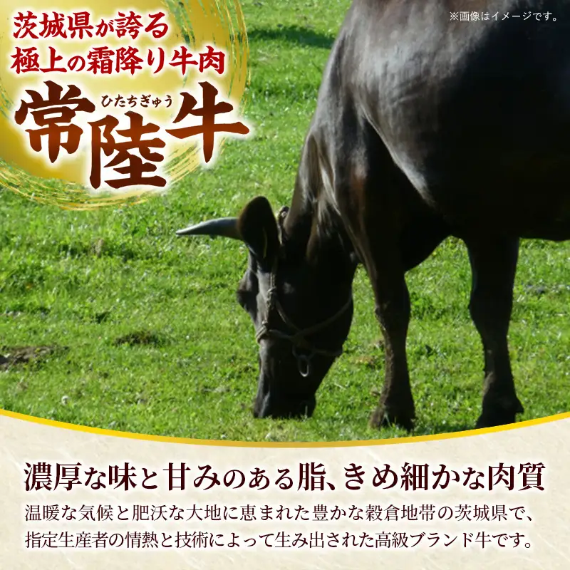 [木箱入り] 焼肉ヒロミヤ厳選！茨城県産 常陸牛焼肉セット（茨城県共通返礼品）／ ランプ イチボ ヒレ 計400g ３種 盛り合わせ タレつき にんにく塩付き ブランド牛 フィレ ヘレ 高品質 贈り物 ギフト 茨城県 五霞町【価格改定】