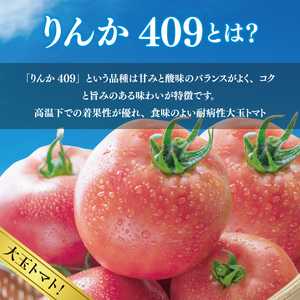 先行予約 トマト りんか409 約4kg 野菜 産地直送 栄養満点 新鮮 こだわり栽培 夏 旬 甘み 酸味 とまと 茨城県 阿見町産【2026年5月下旬より順次発送予定】(76-08)