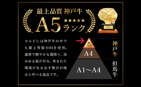 贅沢な脂香る A5ランク 神戸牛 カルビ焼肉 400g（200g×2パック）/ A5ランク 牛カルビ 小分け 牛肉 焼肉 カルビ バラ 肉 ばら肉 焼き肉 密着包装 霜降り バーベキュー 冷凍 国産牛 ブランド牛 黒毛和牛 神戸ビーフ 化粧箱入り ギフト 【帝神志方ミート】