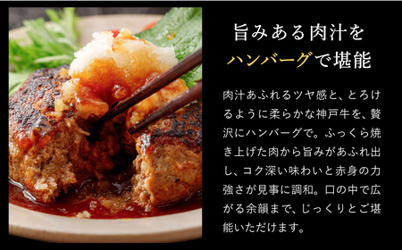 神戸牛 生ハンバーグ （100g×9個） 【帝神志方ミート】
