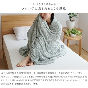【綿なし】とろーりケット　シングル（ブルー）_とろーりケット シングル 薄手 綿なし 洗える 140 × 190cm バッグ入り とろーり 涼しい 掛け心地 ひんやり 肌ざわり 衛生的 夏 快適 晩春 初秋 ガーゼケット タオルケット 吸湿性 レーヨン 生地 ポリエステル 2層 久留米市 送料無料 〔Qc050-bl〕