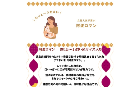 【予約受付中・2026年12月上旬頃より順次発送】鳴門産 さつまいも 『 阿波ロマン 』 3kg　 甘い 　しっとり スイーツ 焼き芋 干し芋 天ぷら サラダ けんぴ きんつば　さつまいも　