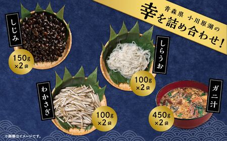青森県 小川原湖の幸 冷凍 詰め合わせセット