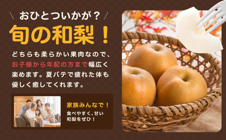 南信州産 訳あり 和梨 約3kg 【2026年先行予約】