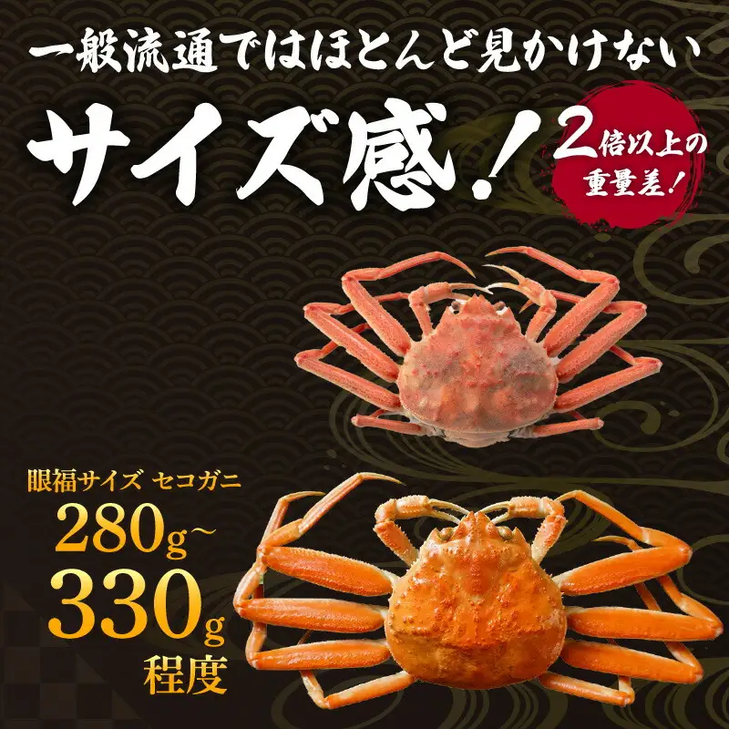 【先行予約】1匹 280g～330g 大物 眼福サイズ セコガニ 5匹セット 冷蔵 【令和8年11月中旬以降発送予定】かに カニ  06-25
