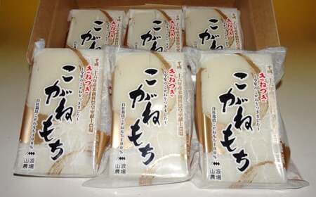 先行予約【期間・数量限定】杵つきこがねもち 白餅 400g入×6パック（計48切） 切り餅 新潟県産[Y0505]