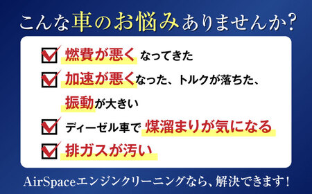 乗用車 AirSpaceエンジンカーボンクリーニング / 車清掃 クリーニング 体験 / 瀬戸市[BBDW001]