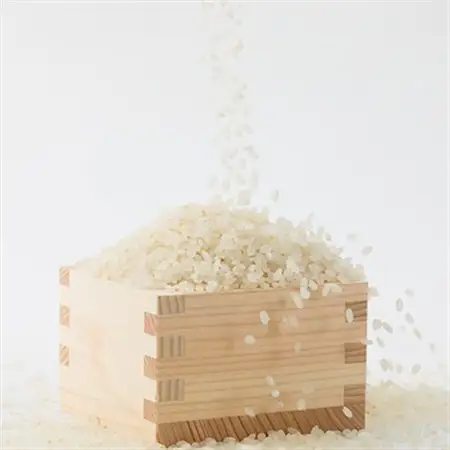 【突鉱土育ち】津山産トッコウ米(こしひかり)5kg【1361991】