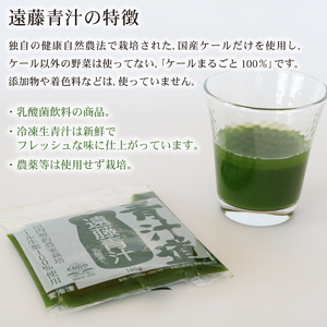 【3回定期便】遠藤青汁1箱(100g×28袋) 国産 ケール100% 冷凍生