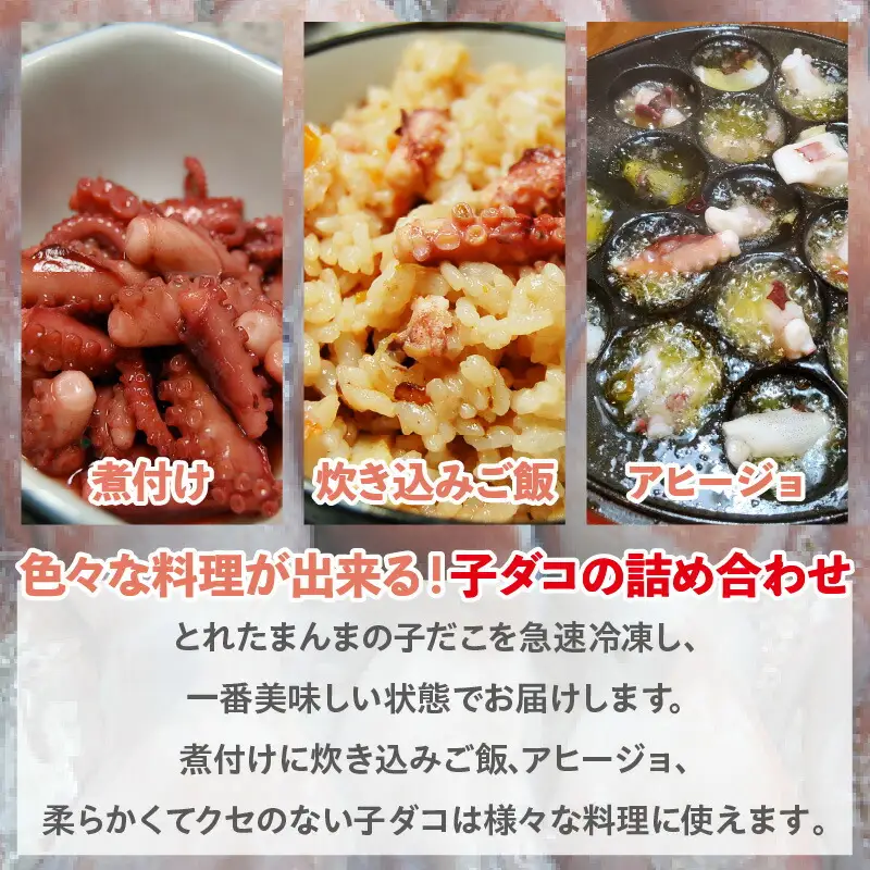 やわらか子ダコ 500g×2袋 冷凍 たこ  74-28