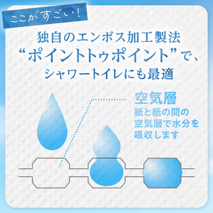 定期便 6回 トイレットペーパー 綿雲 ダブル 1パック(12ロール) エンボス加工 こだわり ふわり品質 消臭 しっかり吸収 無香 パルプ100％ 防災 備蓄 日用品 毎月発送 静岡県 富士市 [sf002-449]
