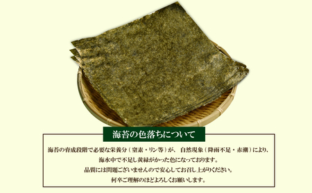 訳あり 海苔 のり 全形30枚 訳あり 海苔