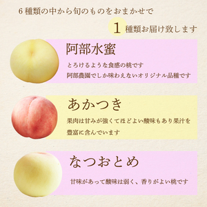阿部農園 おまかせ 桃 約1.3kg 《2026年７月中旬から順次発送》 フルーツ 果物 くだもの 果実 夏 旬のフルーツ 旬の果物 もも モモ ピーチ 食品 オリジナル品種 阿部水蜜 あかつき 白鳳 はくほう なつおとめ みさか白鳳 白麗 広島県 三原市 216001
