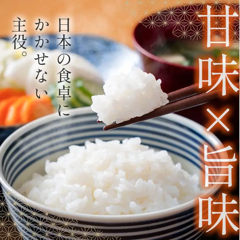 【3ヶ月定期便】 新米コシヒカリ無洗米 5kg×3 合計15kg 令和8年産 8月～10月発送 宮崎県西都市産＜18-23b＞こしひかり 精米 白米 お米
