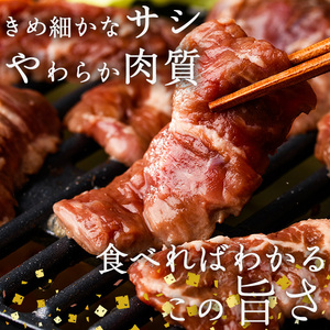 塩味 牛ハラミ (計800g) 小分け 牛肉 肉 ハラミ 牛はらみ 味付け 焼肉 塩 BBQ 冷凍 大分県 佐伯市【DH298】【(株)ネクサ】