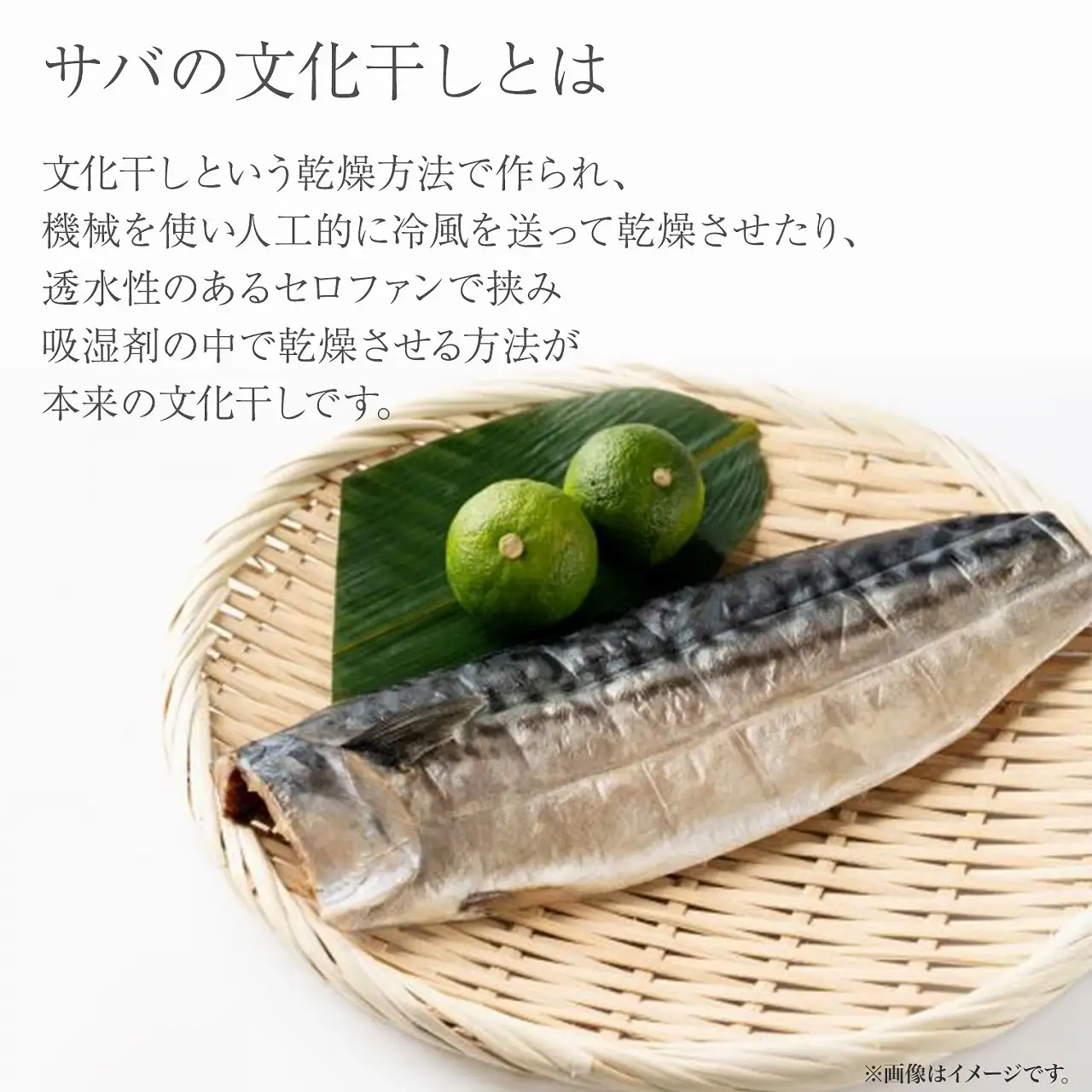 K2587 【茨城県共通返礼品/神栖市】大トロ さば 文化干し 1枚真空×6パック 魚 さば サバ 鯖  真空パック 化粧箱 冷凍 一夜干し