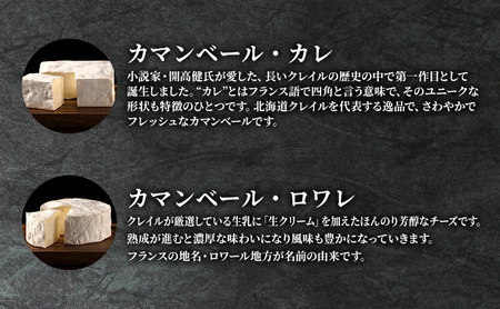 カマンベールチーズ 2種 贅沢セット クレイル特製 カマンベール チーズ 乳製品 食べ比べ 