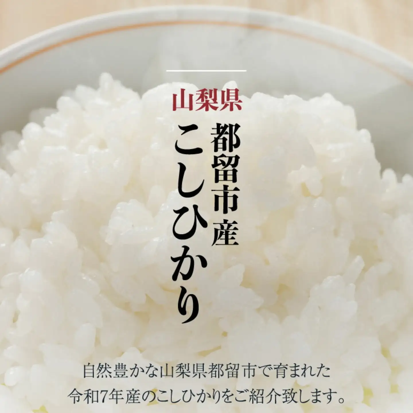 【令和8年産】山梨県都留市産こしひかり[5kg]   こしひかり こめ 米 お米 