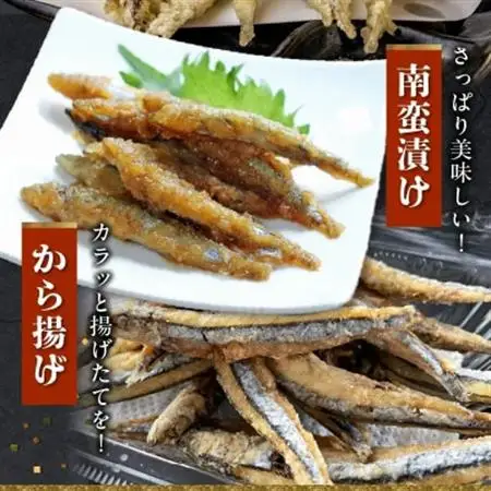 鹿児島県産キビナゴ1kg【配送不可地域：離島】【1186221】