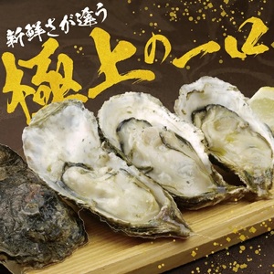 SD0267　天然岩牡蠣　計2kg以上(6～8個入)