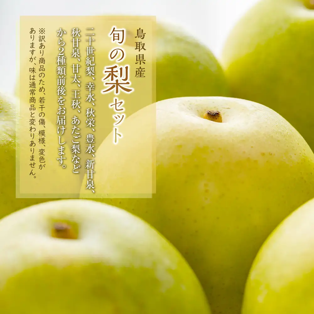 【訳あり】鳥取県産旬の梨セット 3kg 梨