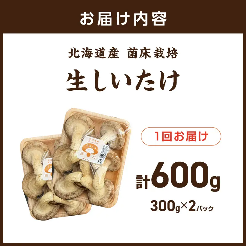 北海道産 生しいたけ(菌床) 2パック ( きのこ キノコ 椎茸 シイタケ )【038-0012】