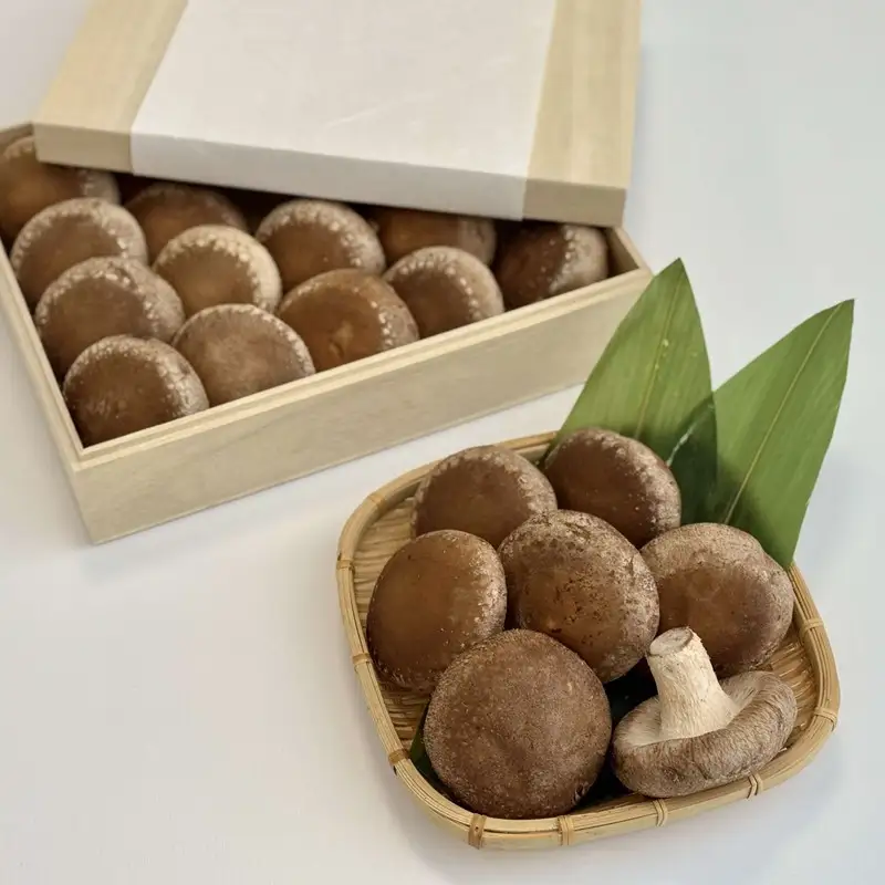 【木箱入】北海道産 生しいたけ(菌床) 乾しいたけ(ひと口・スライス)セット ( きのこ キノコ 椎茸 シイタケ )【038-0008】